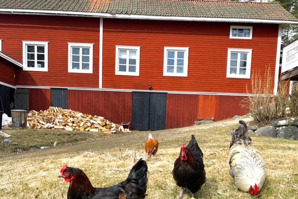 Egen Stuga Och Vedeldad Bastu Linghed エクステリア 写真