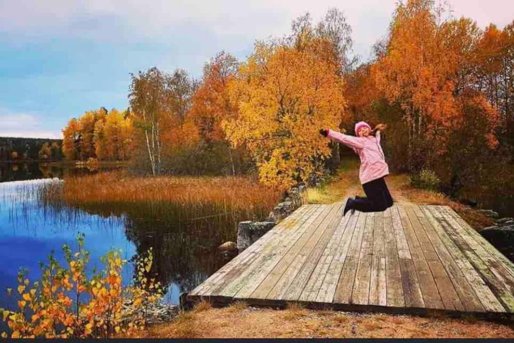 Egen Stuga Och Vedeldad Bastu Linghed エクステリア 写真