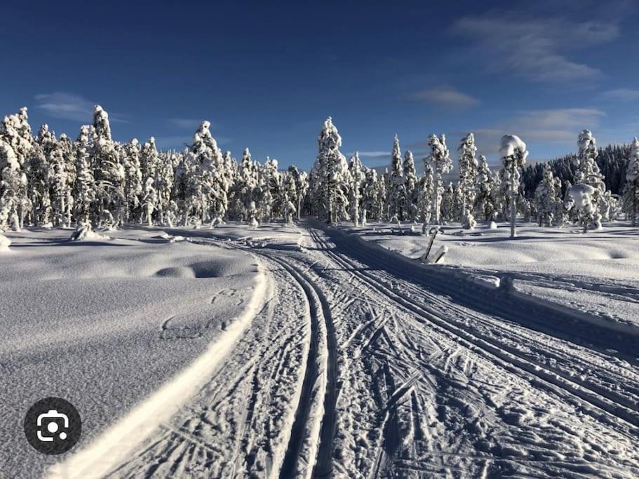 Egen Stuga Och Vedeldad Bastu Linghed エクステリア 写真